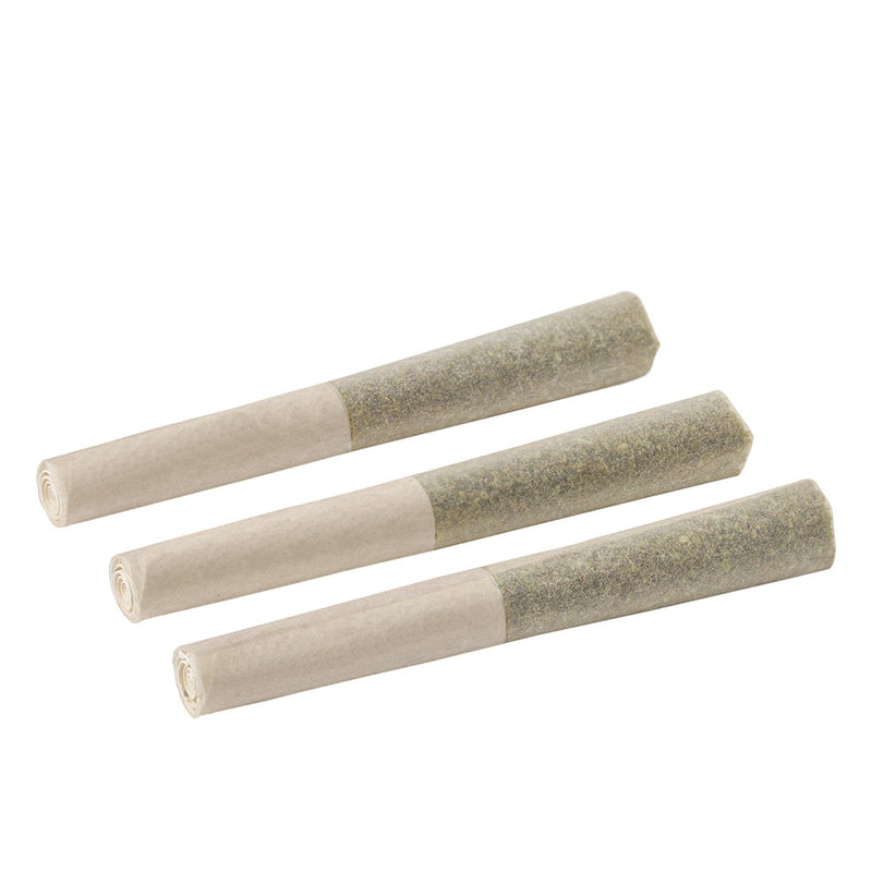 BACK FORTY STRAWBERRY COUGH (S) INF PRE-ROLL - 0.5G X 3